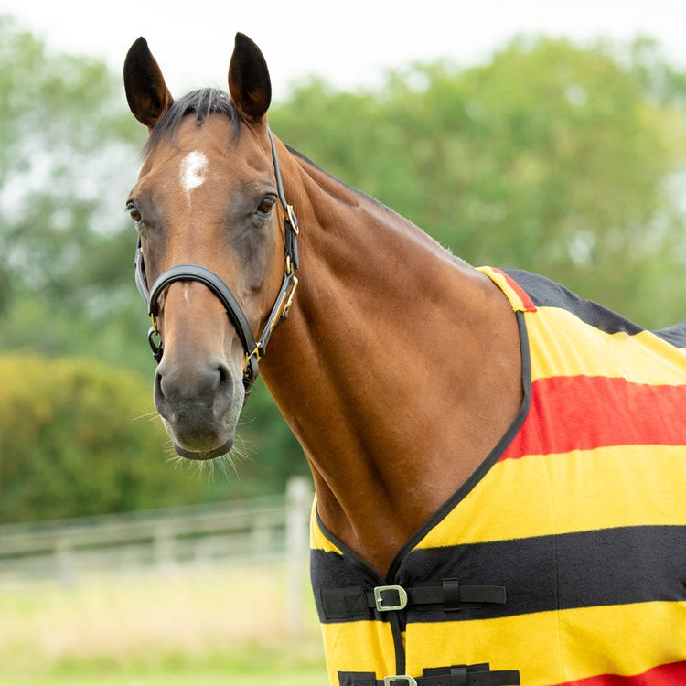 StormX Empra Newmarket Fleece Rug image 9